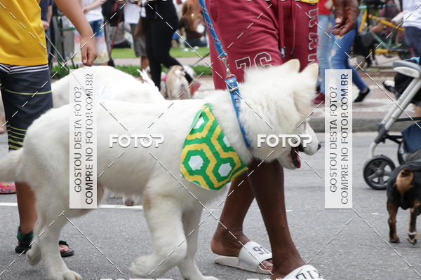 Buy your photos of the event13� C�ominhada - Santos on Fotop