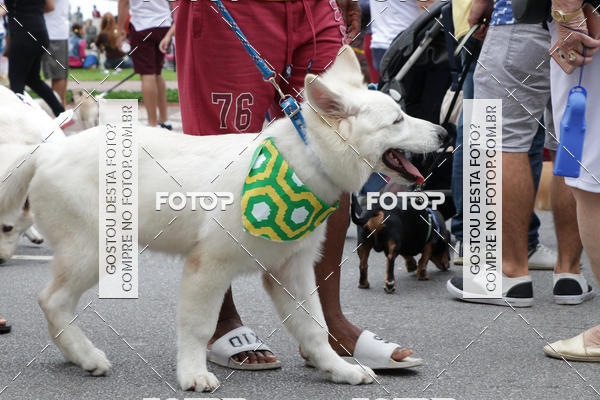 Buy your photos of the event13� C�ominhada - Santos on Fotop