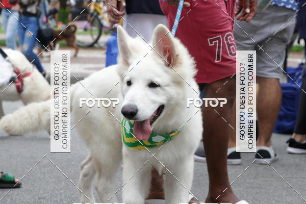 Buy your photos of the event13� C�ominhada - Santos on Fotop