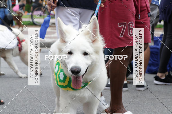 Buy your photos of the event13� C�ominhada - Santos on Fotop