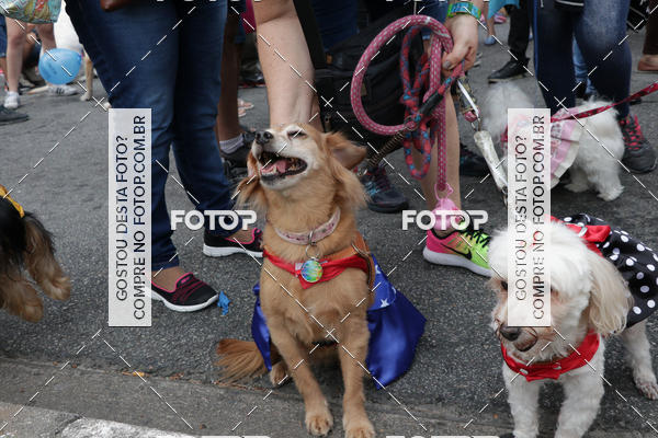Buy your photos of the event13� C�ominhada - Santos on Fotop