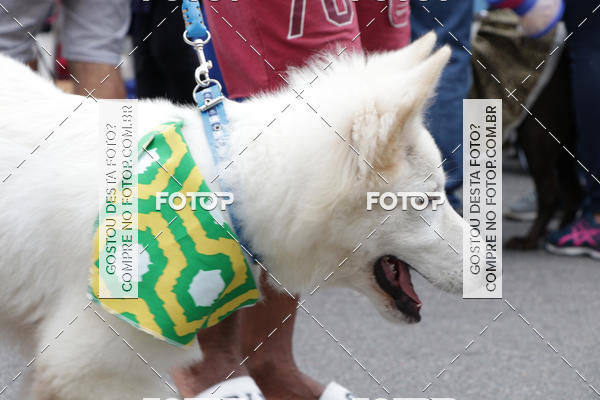 Buy your photos of the event13� C�ominhada - Santos on Fotop