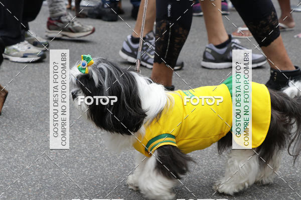 Buy your photos of the event13� C�ominhada - Santos on Fotop