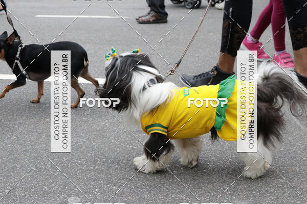 Buy your photos of the event13� C�ominhada - Santos on Fotop