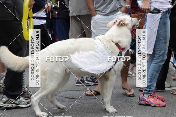 Buy your photos of the event13� C�ominhada - Santos on Fotop