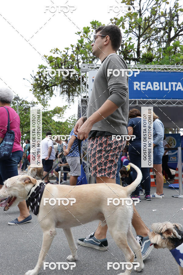 Buy your photos of the event13� C�ominhada - Santos on Fotop