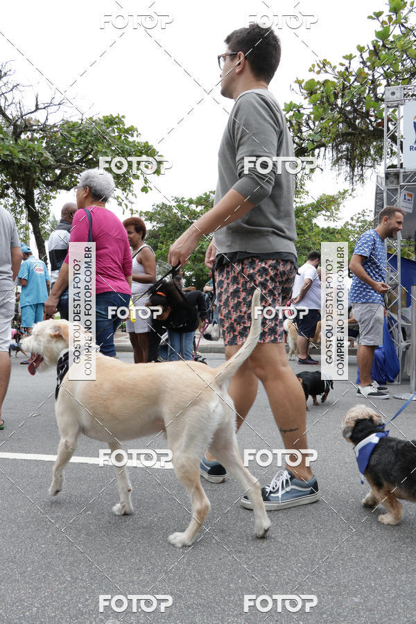 Buy your photos of the event13� C�ominhada - Santos on Fotop