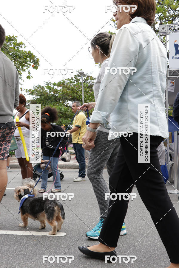 Buy your photos of the event13� C�ominhada - Santos on Fotop