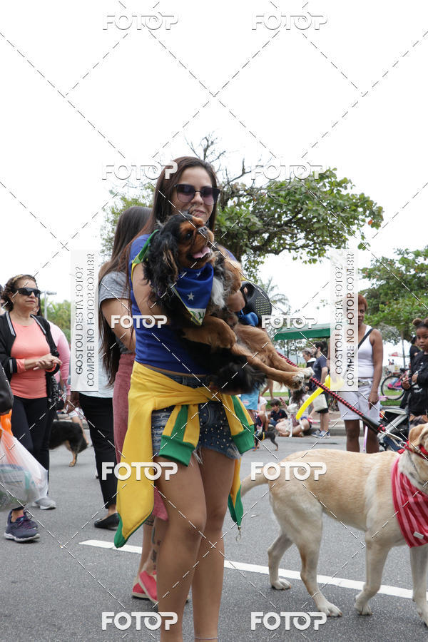 Buy your photos of the event13� C�ominhada - Santos on Fotop