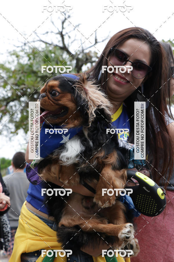 Buy your photos of the event13� C�ominhada - Santos on Fotop