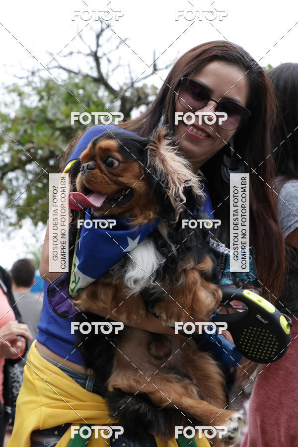 Buy your photos of the event13� C�ominhada - Santos on Fotop