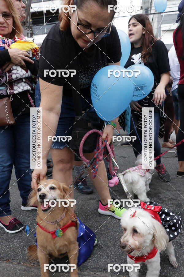 Buy your photos of the event13� C�ominhada - Santos on Fotop