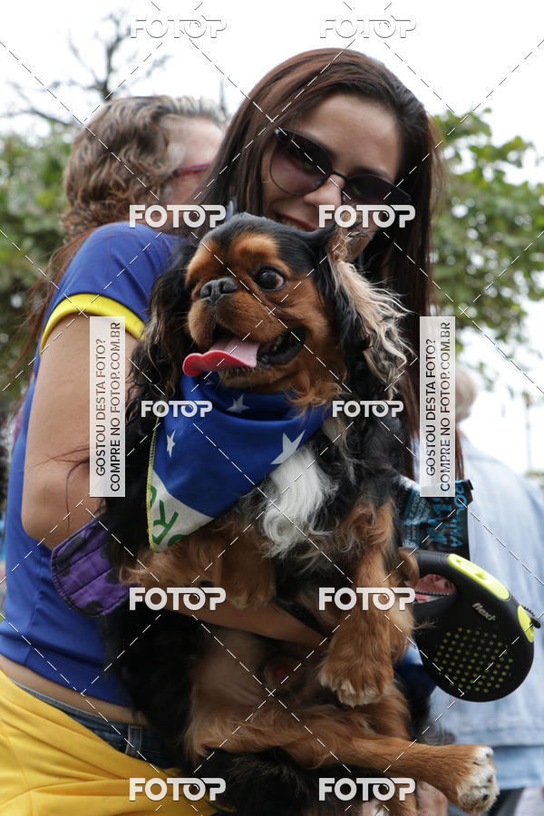 Buy your photos of the event13� C�ominhada - Santos on Fotop