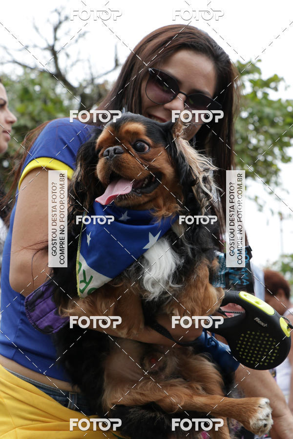 Buy your photos of the event13� C�ominhada - Santos on Fotop