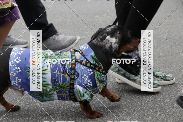 Buy your photos of the event13� C�ominhada - Santos on Fotop