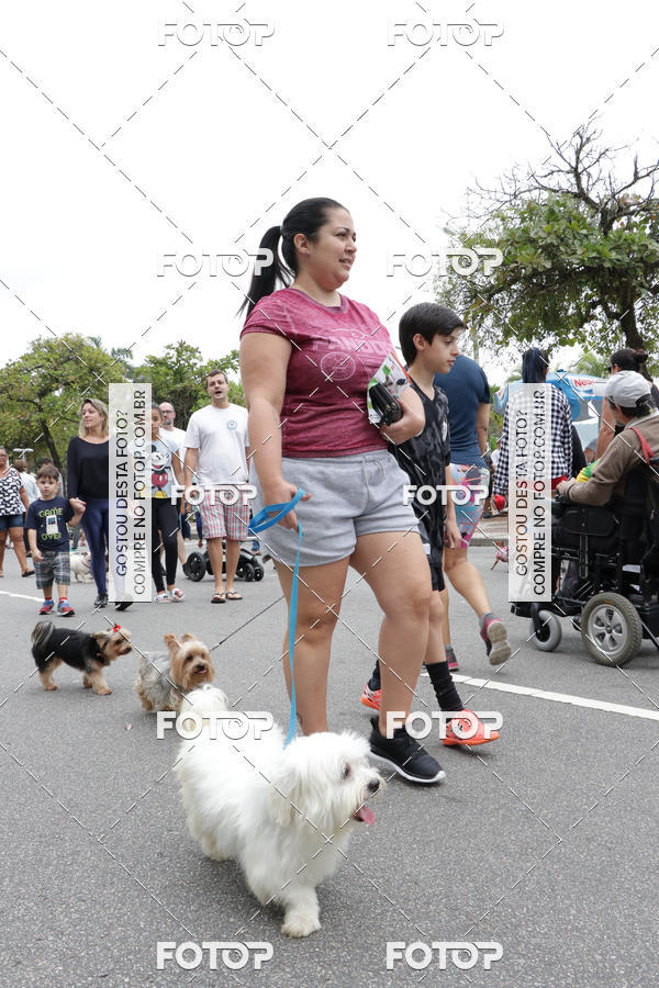 Buy your photos of the event13� C�ominhada - Santos on Fotop