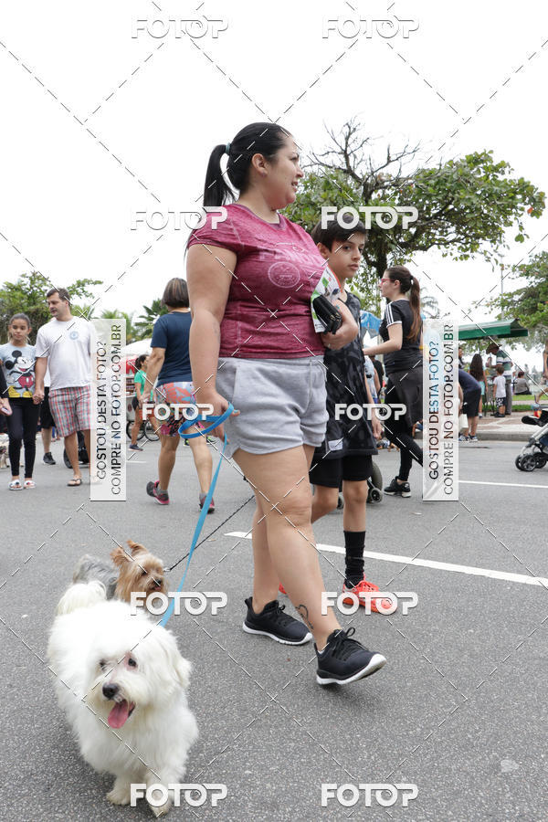 Buy your photos of the event13� C�ominhada - Santos on Fotop