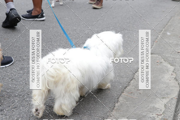 Buy your photos of the event13� C�ominhada - Santos on Fotop