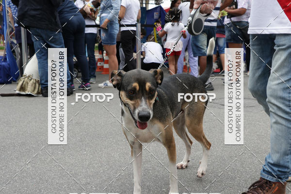 Buy your photos of the event13� C�ominhada - Santos on Fotop