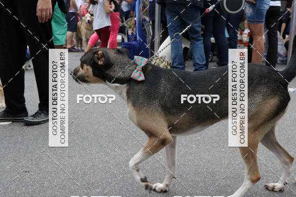Buy your photos of the event13� C�ominhada - Santos on Fotop