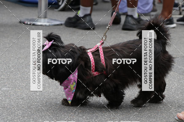 Buy your photos of the event13� C�ominhada - Santos on Fotop