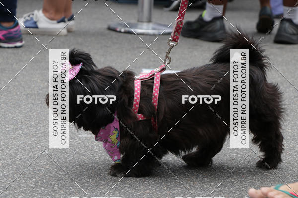 Buy your photos of the event13� C�ominhada - Santos on Fotop