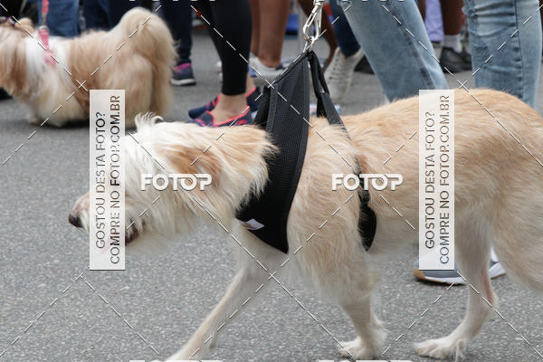 Buy your photos of the event13� C�ominhada - Santos on Fotop