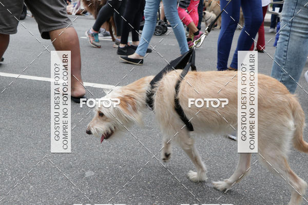 Buy your photos of the event13� C�ominhada - Santos on Fotop