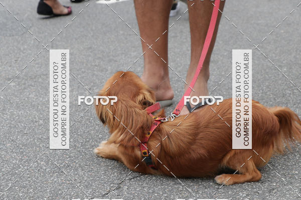 Buy your photos of the event13� C�ominhada - Santos on Fotop