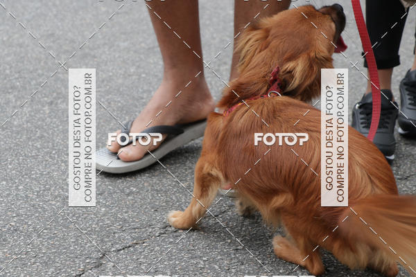 Buy your photos of the event13� C�ominhada - Santos on Fotop