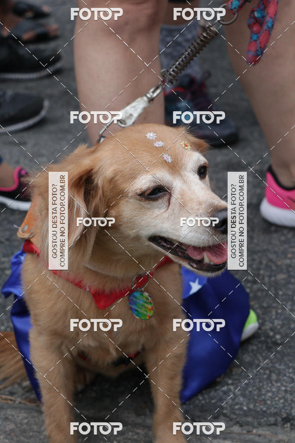 Buy your photos of the event13� C�ominhada - Santos on Fotop