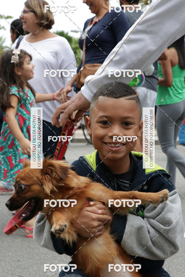 Buy your photos of the event13� C�ominhada - Santos on Fotop