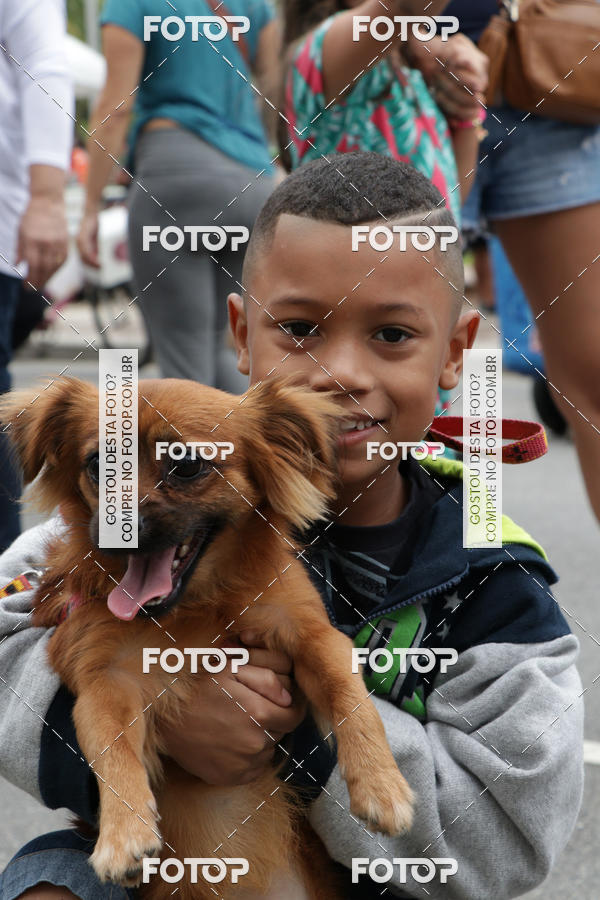 Buy your photos of the event13� C�ominhada - Santos on Fotop