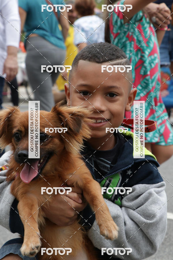 Buy your photos of the event13� C�ominhada - Santos on Fotop