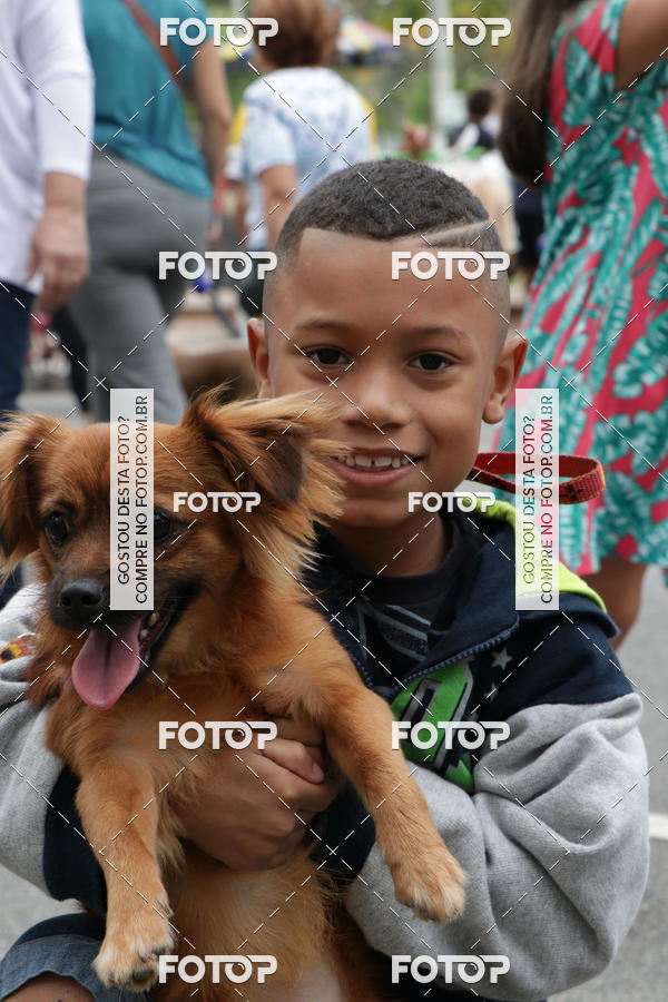 Buy your photos of the event13� C�ominhada - Santos on Fotop