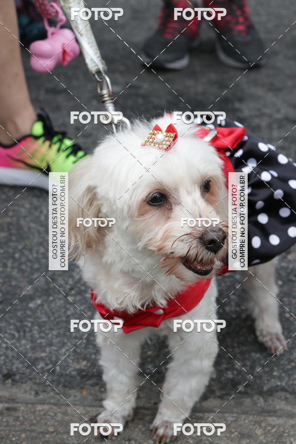 Buy your photos of the event13� C�ominhada - Santos on Fotop