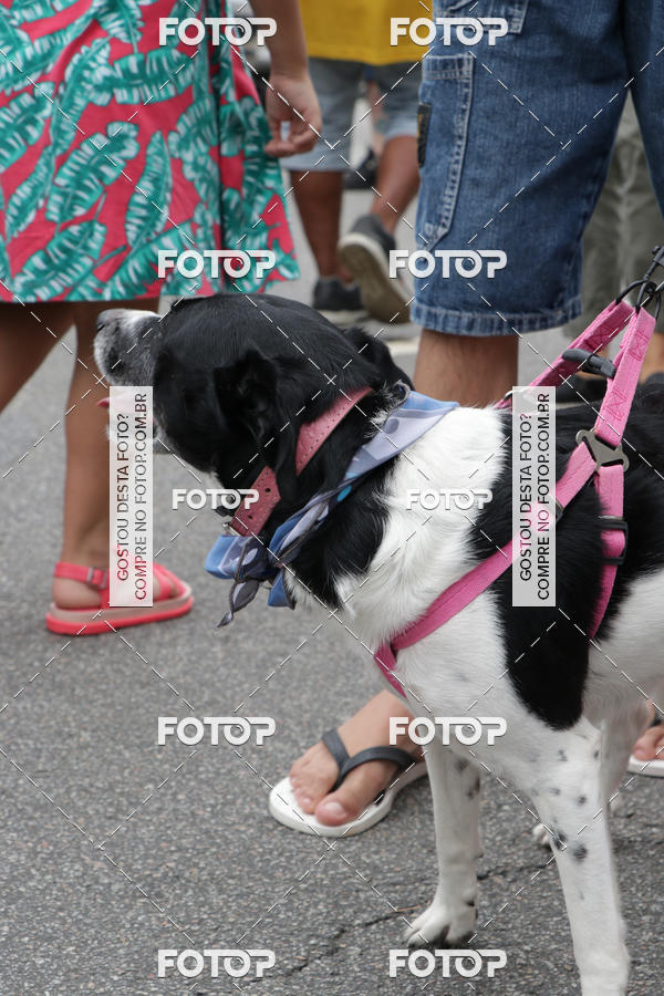 Buy your photos of the event13� C�ominhada - Santos on Fotop