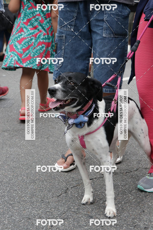Buy your photos of the event13� C�ominhada - Santos on Fotop