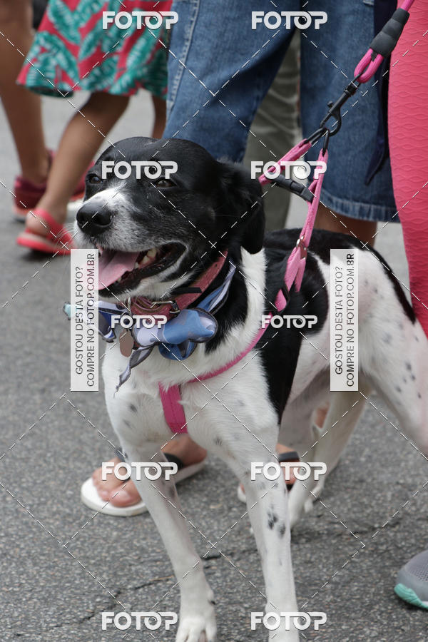 Buy your photos of the event13� C�ominhada - Santos on Fotop