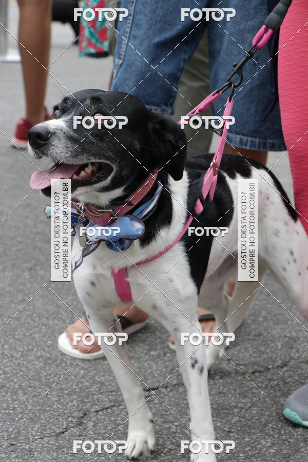 Buy your photos of the event13� C�ominhada - Santos on Fotop