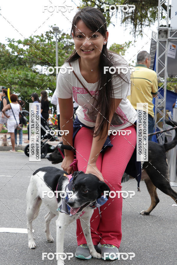 Buy your photos of the event13� C�ominhada - Santos on Fotop