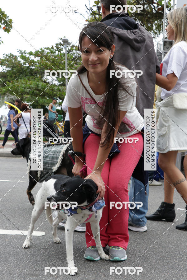 Buy your photos of the event13� C�ominhada - Santos on Fotop