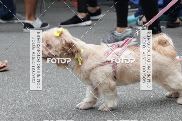 Buy your photos of the event13� C�ominhada - Santos on Fotop