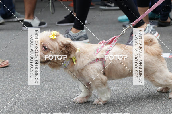 Buy your photos of the event13� C�ominhada - Santos on Fotop