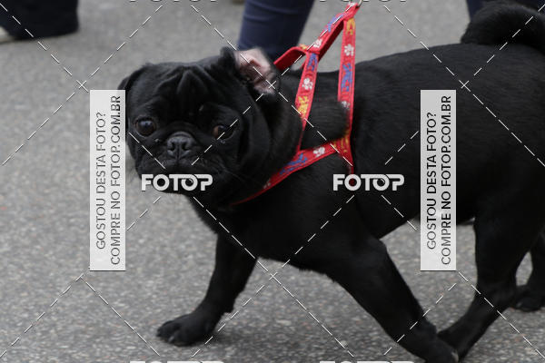 Buy your photos of the event13� C�ominhada - Santos on Fotop