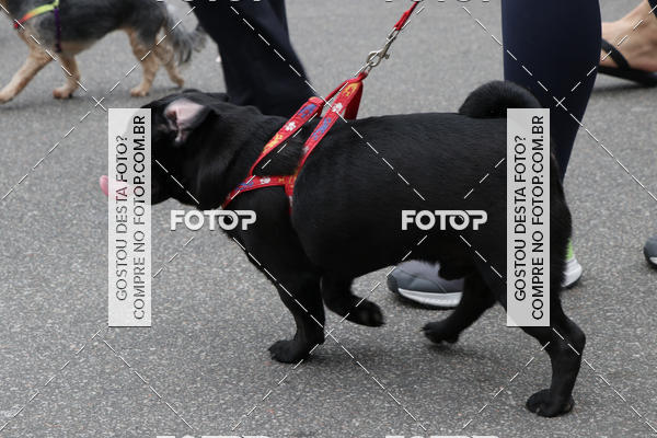 Buy your photos of the event13� C�ominhada - Santos on Fotop