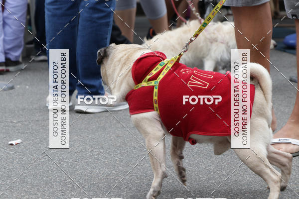Buy your photos of the event13� C�ominhada - Santos on Fotop