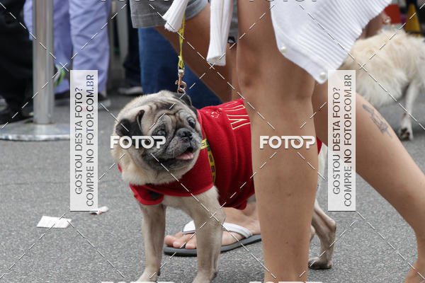 Buy your photos of the event13� C�ominhada - Santos on Fotop
