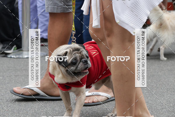 Buy your photos of the event13� C�ominhada - Santos on Fotop