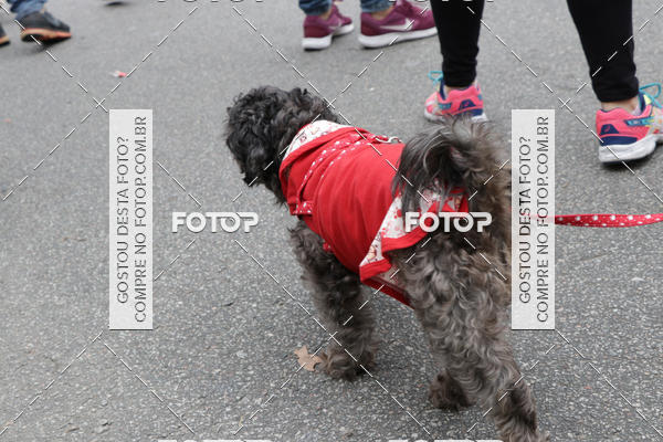 Buy your photos of the event13� C�ominhada - Santos on Fotop